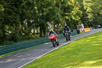 cadwell-no-limits-trackday;cadwell-park;cadwell-park-photographs;cadwell-trackday-photographs;enduro-digital-images;event-digital-images;eventdigitalimages;no-limits-trackdays;peter-wileman-photography;racing-digital-images;trackday-digital-images;trackday-photos